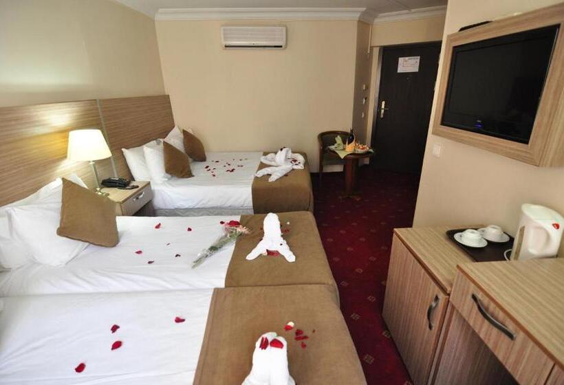 Fotos del hotel Buyuk Sahinler:  8