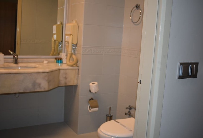 Fotos del hotel Euro Plaza:  16