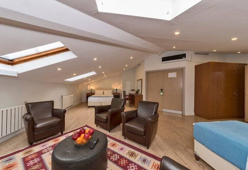 Fotos del hotel Veyron Park  Levent:  22