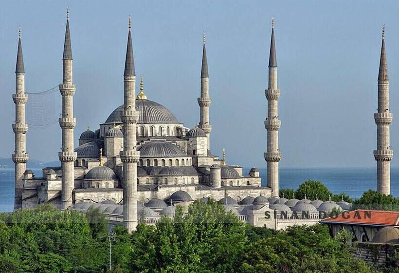 Fotos del hotel Hali:  30