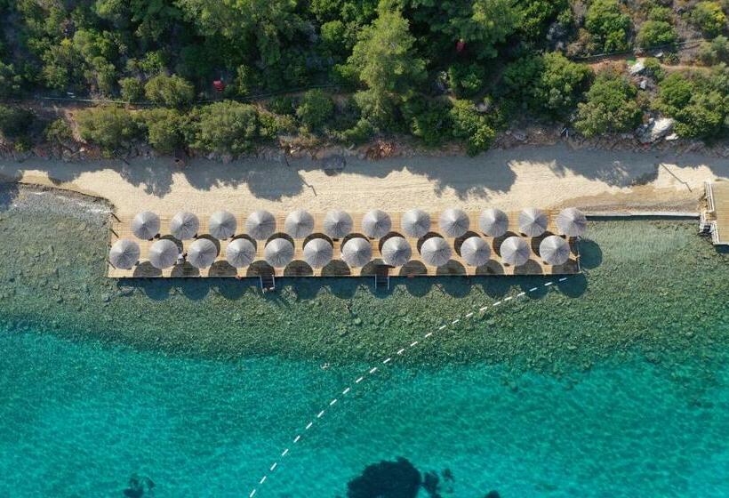 هتل Hapimag Resort Sea Garden