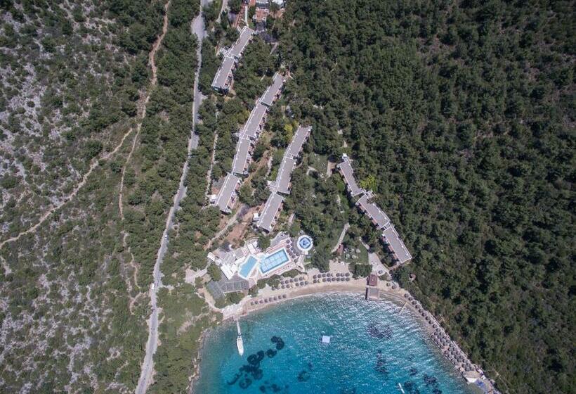 هتل Hapimag Resort Sea Garden