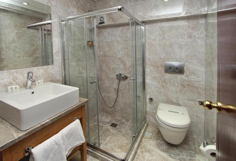 Fotos del hotel Laleli Gonen:  39