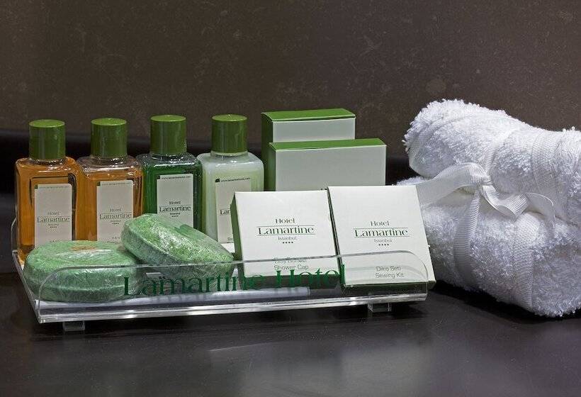 Fotos del hotel Lamartine:  32