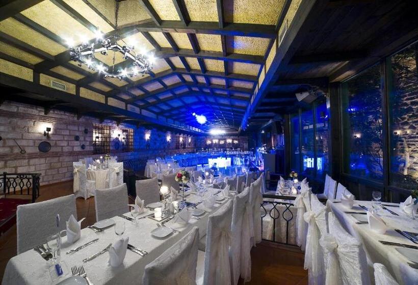 Fotos del hotel Radisson  Istanbul Sultanahmet:  6