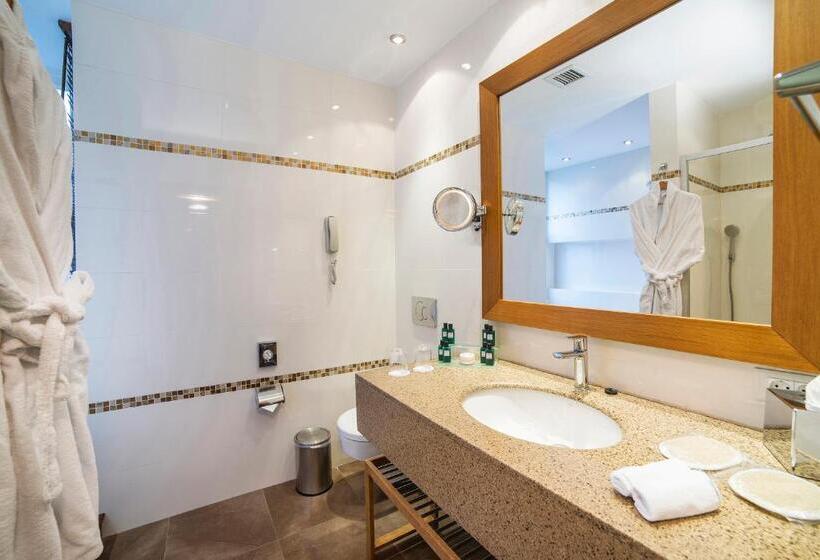 Fotos del hotel Radisson  Istanbul Sultanahmet:  13