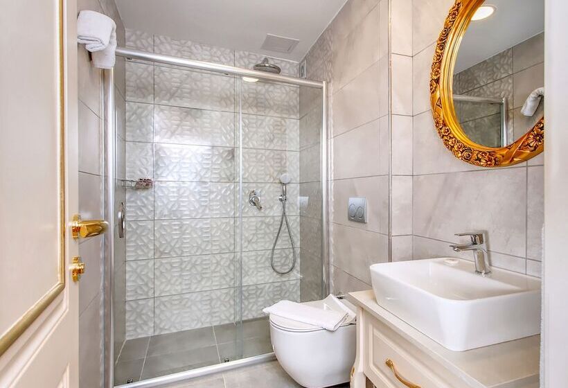 Fotos del hotel Saba Sultanahmet:  22