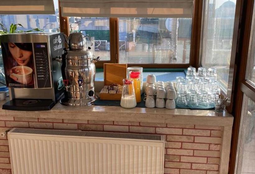 Fotos del hotel Saba Sultanahmet:  20