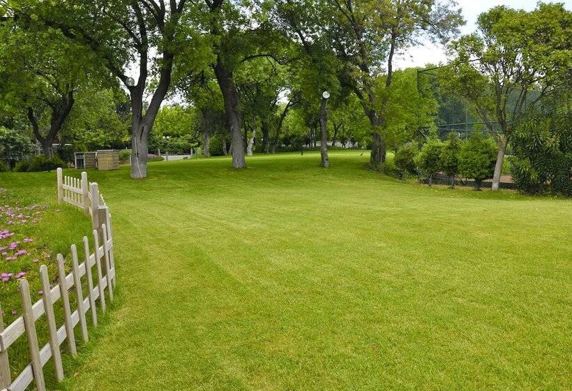 Fotos del hotel Sheraton Istanbul Atakoy:  69