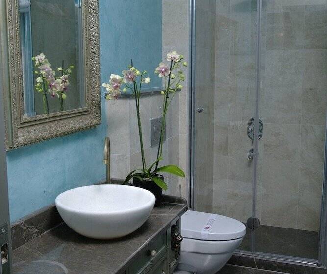 Fotos del hotel Sokullu Pasa   Special Class:  12