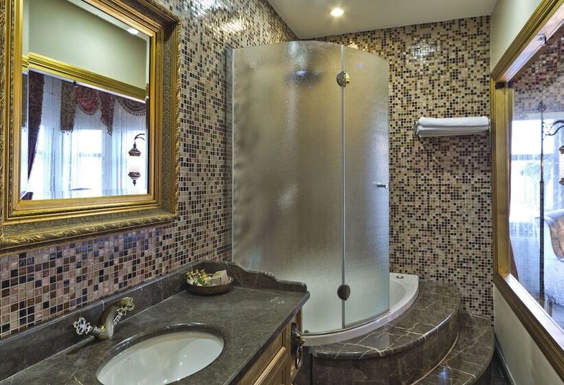 Fotos del hotel Sokullu Pasa   Special Class:  11