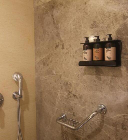 Fotos del hotel Riva Hotel Taksim:  42