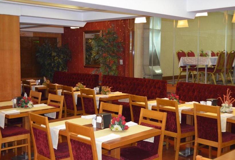 Fotos del hotel Yuksel:  12