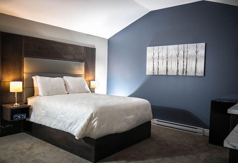 فندق على الطريق Newfound Inn & Suites
