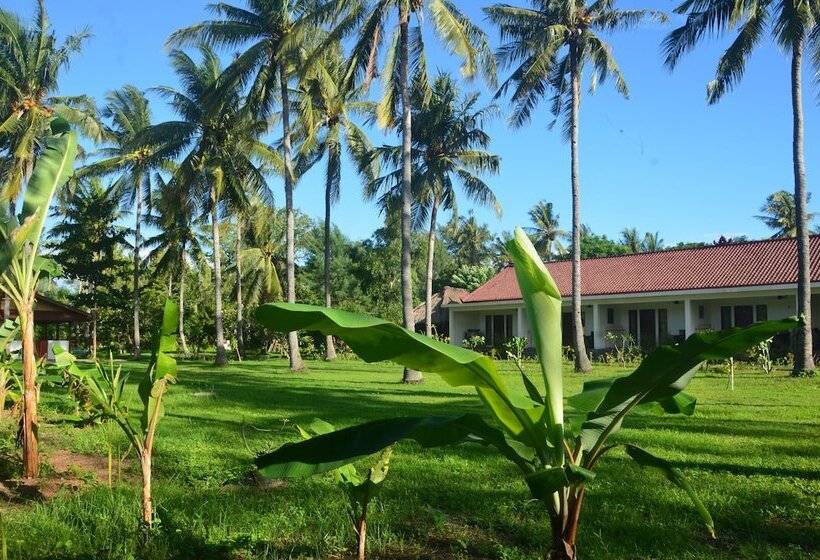 تختخواب و صبحانه Amigos Bungalows Gili Meno