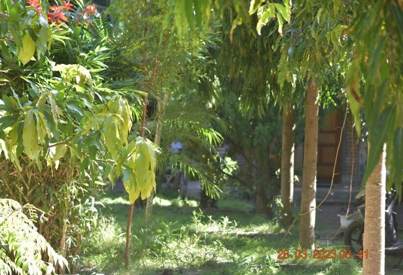 민박 Del Mar Home Stay And Cafe