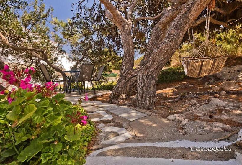 Chc Sound Of The Sea