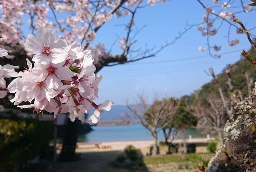 فندق Pension Shishikui