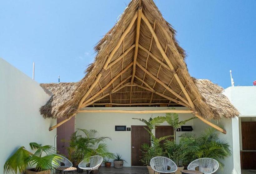 بنسيون Casa Pia