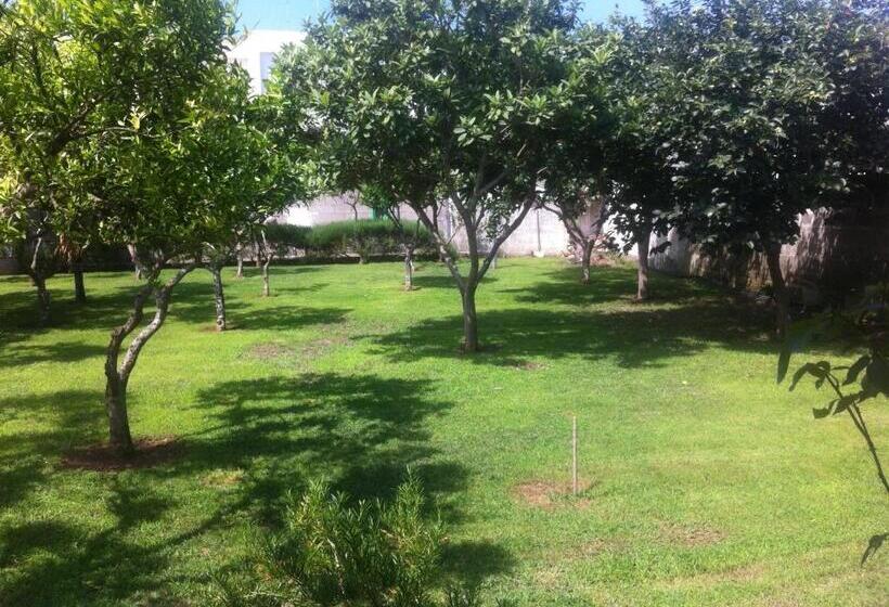 Villa Nike B&b