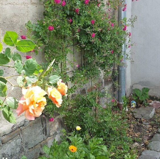 住宿加早餐  Marcos Heuboden