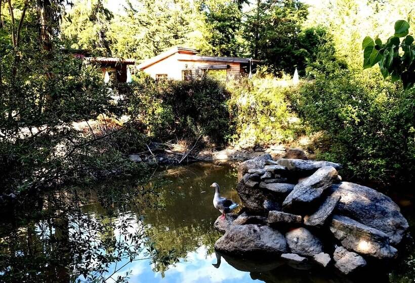 住宿加早餐  Quinta Sul America