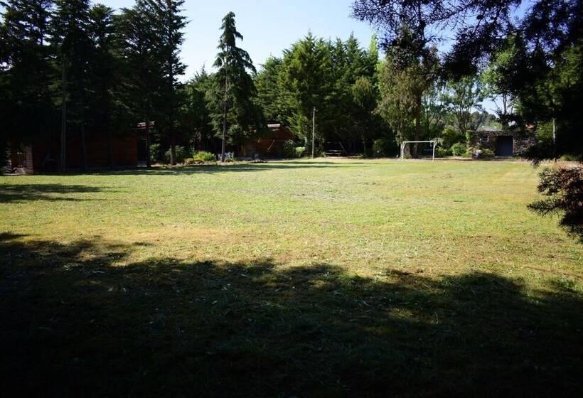 住宿加早餐  Quinta Sul America