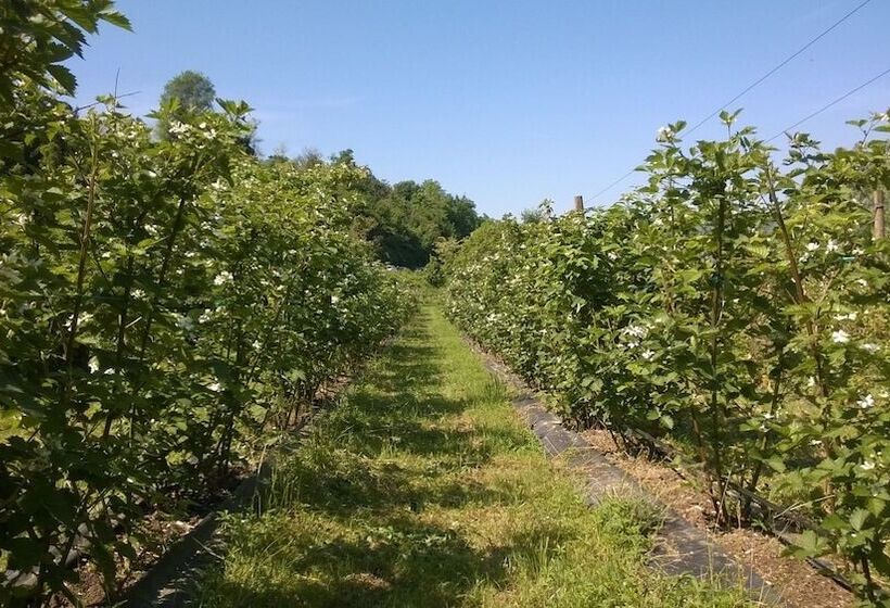 田舎風ホテル Agriturismo Terra E Lago D'iseo Franciacorta