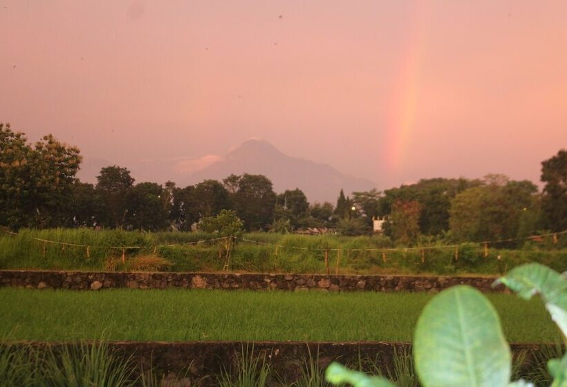 بنسيون Alamanda Family Villas & Pool