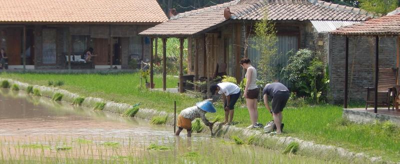 پانسیون Alamanda Family Villas & Pool