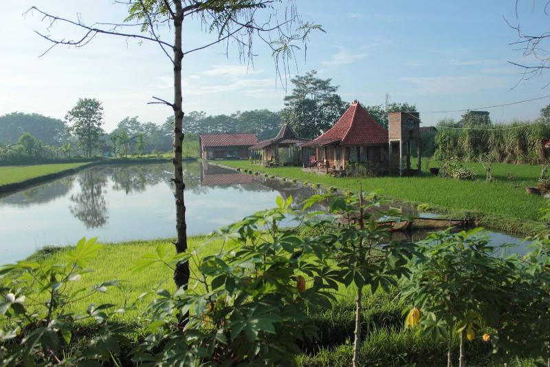 بنسيون Alamanda Family Villas & Pool