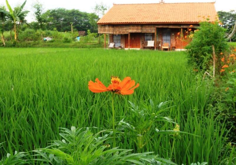 پانسیون Alamanda Family Villas & Pool