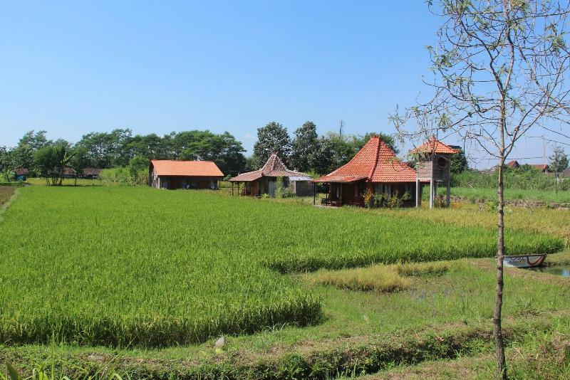 بنسيون Alamanda Family Villas & Pool