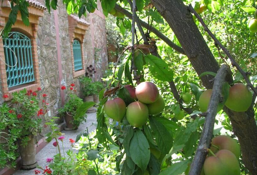 پانسیون Chez Larbi Ourika