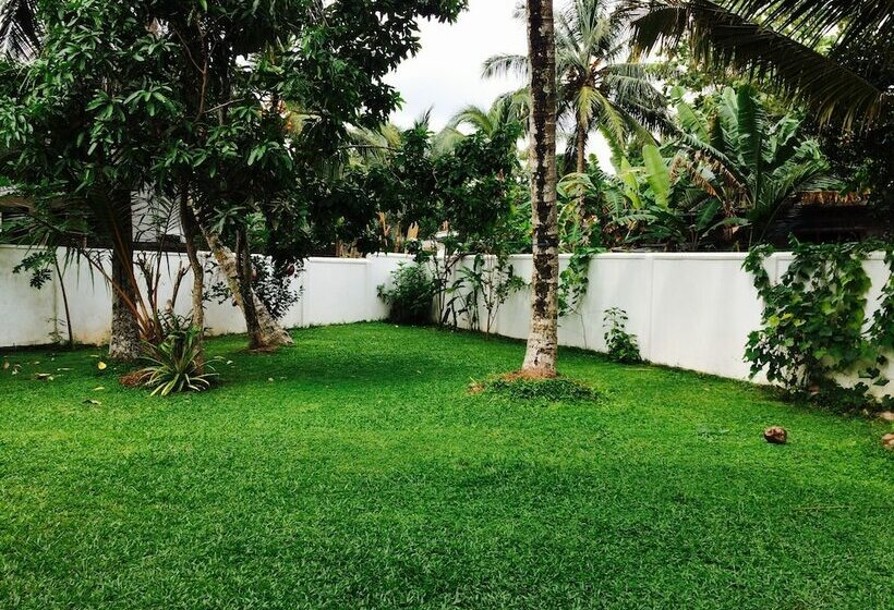 بنسيون New White House