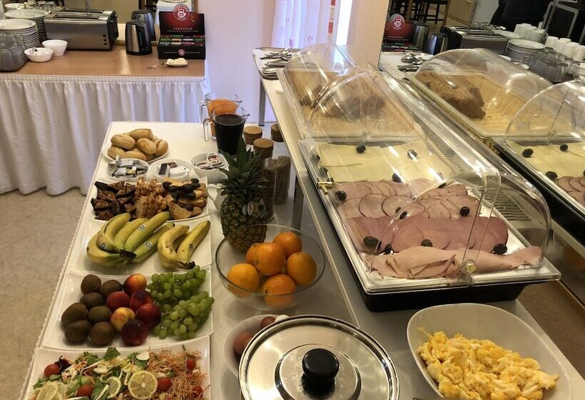 膳宿费 Simona Hotel Frankfurt Airport