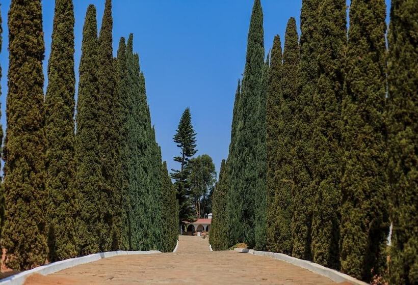 تختخواب و صبحانه Rancho El Parral