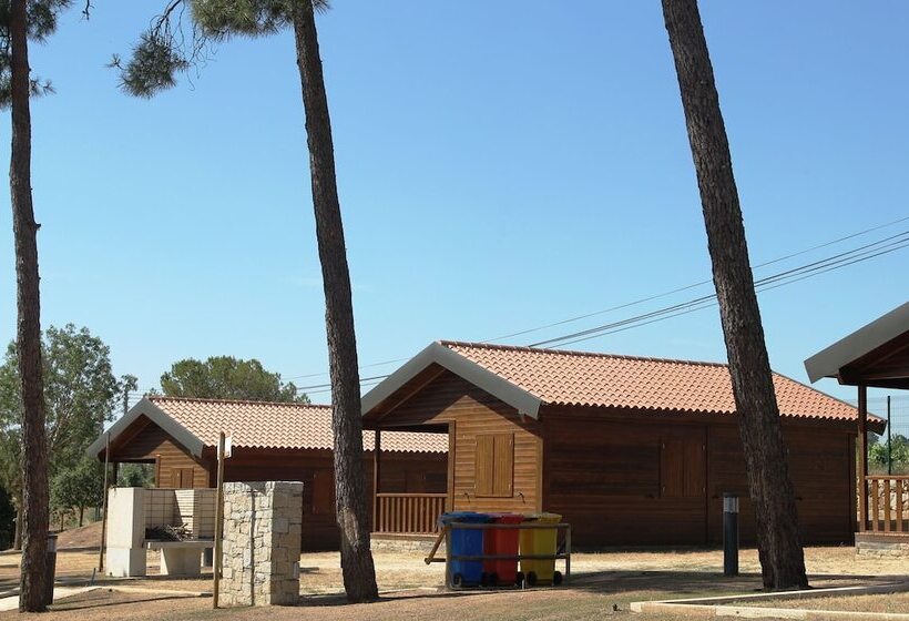 Douro Camping