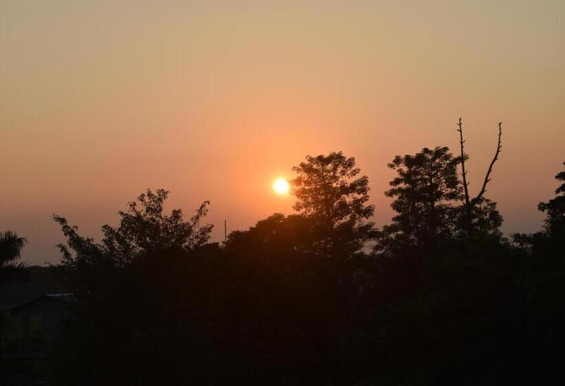 هتل Chitwan Village Resort