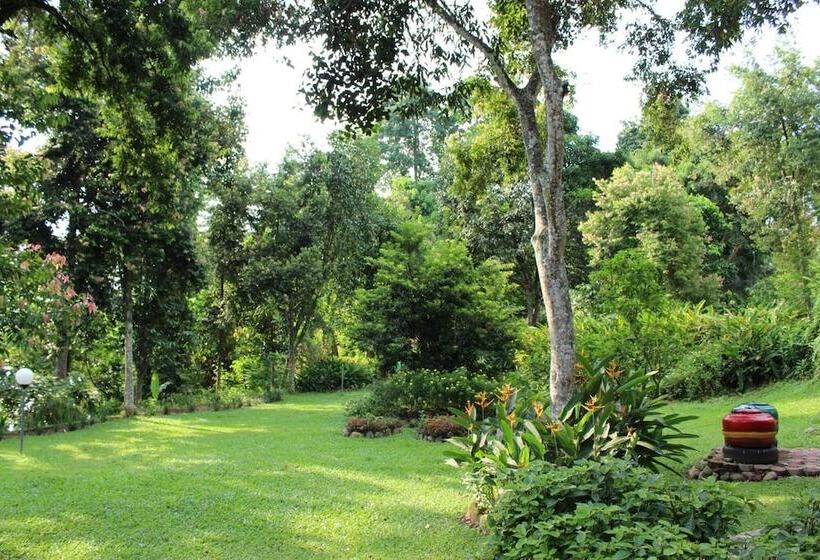 هتل Ecolodge Bukit Lawang