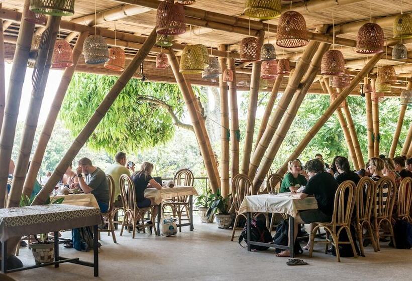 هتل Ecolodge Bukit Lawang