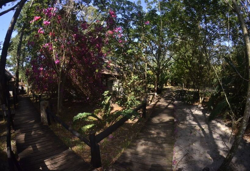 Отель Triton Dive Lodge