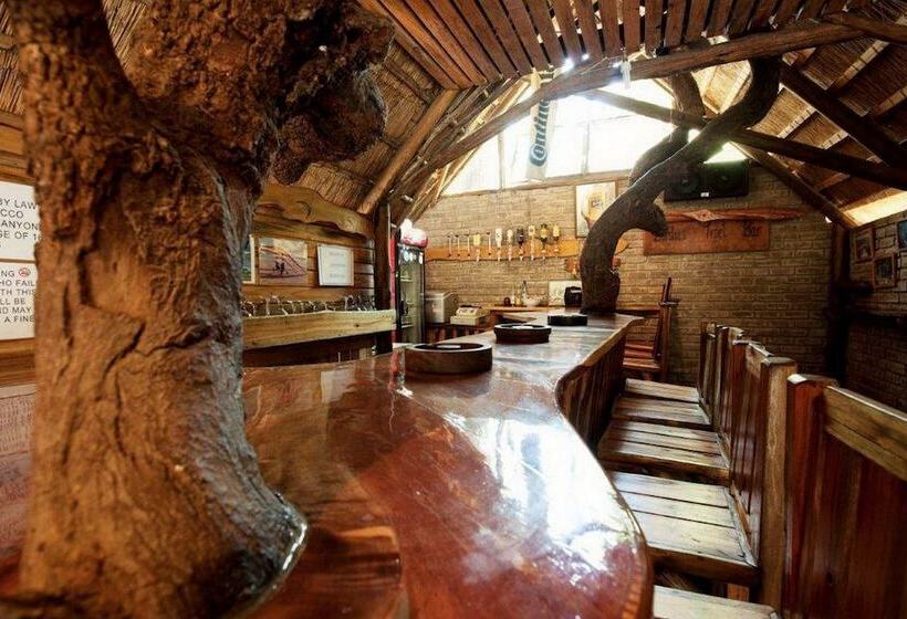 Отель Triton Dive Lodge