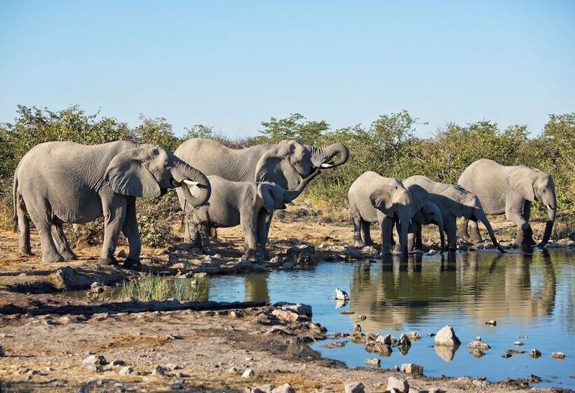 هتل Safarihoek Lodge