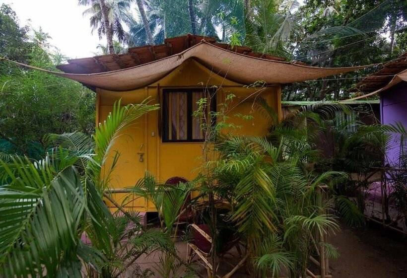 酒店 Saturn Beach Cottage