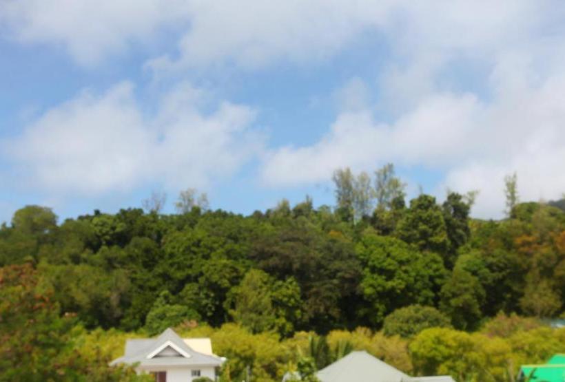 Lone Self Catering Apartment