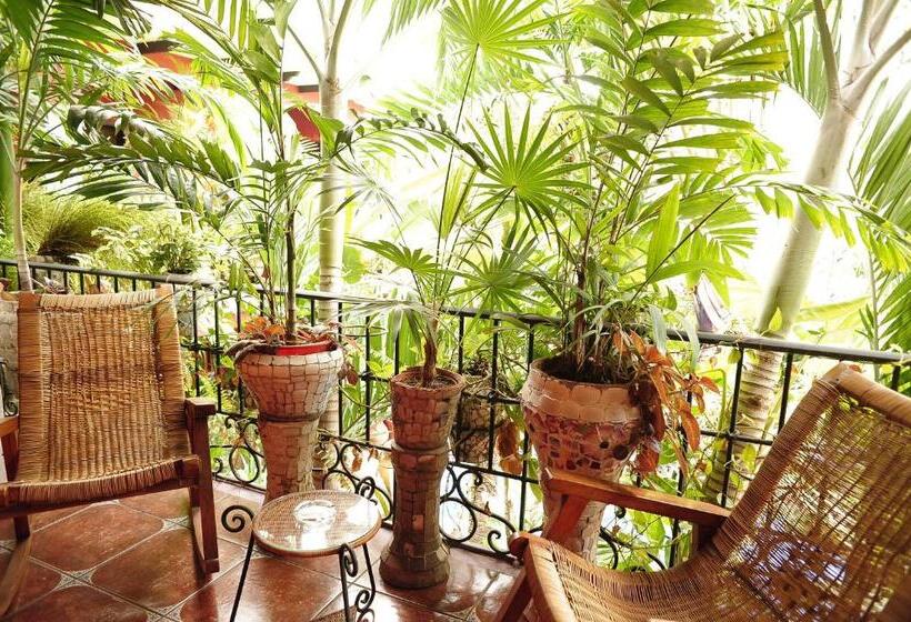 هتل Boutique Casona Maya Mexicana