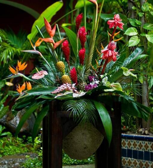 هتل Boutique Casona Maya Mexicana