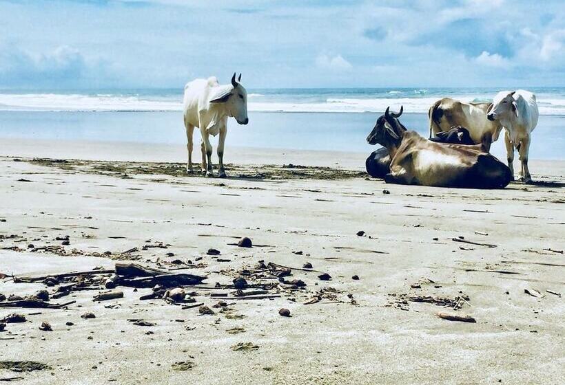 בית מלון כפרי Rancho Coral