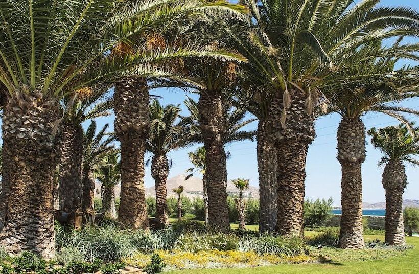 هتل Villa Bellonia